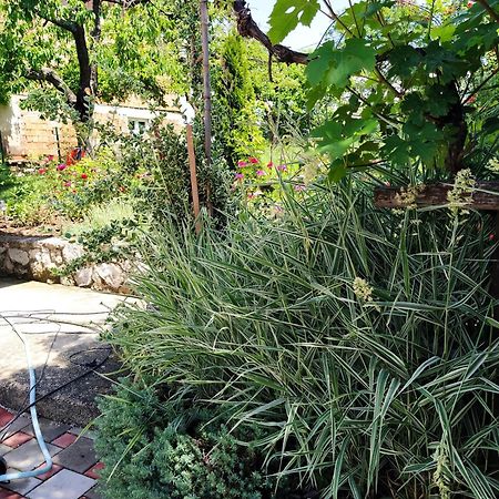 Guest House Bee Visoko Εξωτερικό φωτογραφία