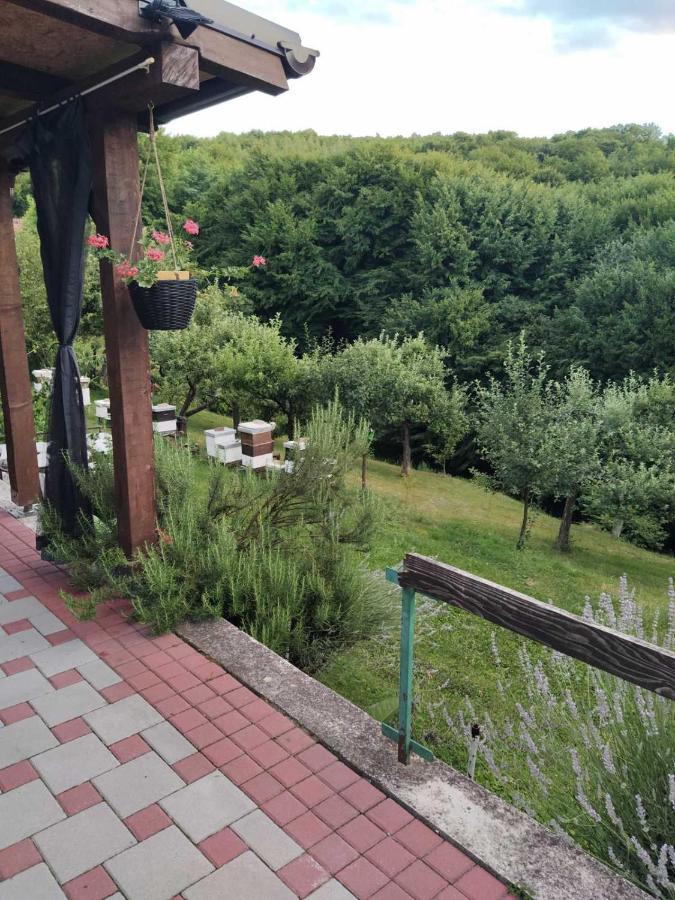 Guest House Bee Visoko Εξωτερικό φωτογραφία