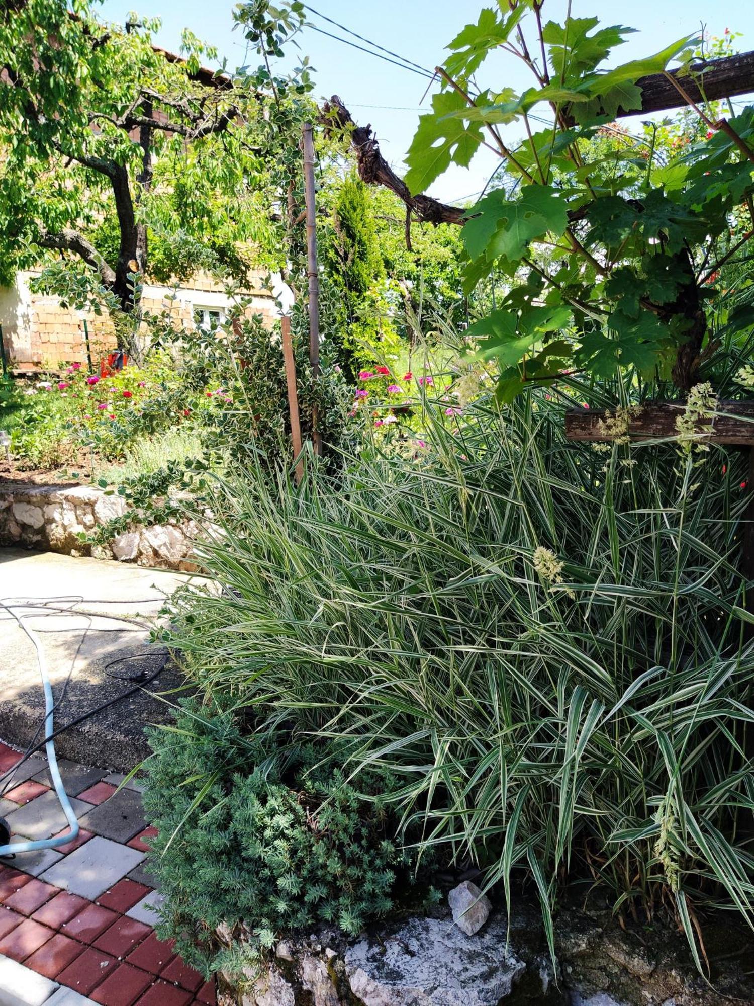 Guest House Bee Visoko Εξωτερικό φωτογραφία