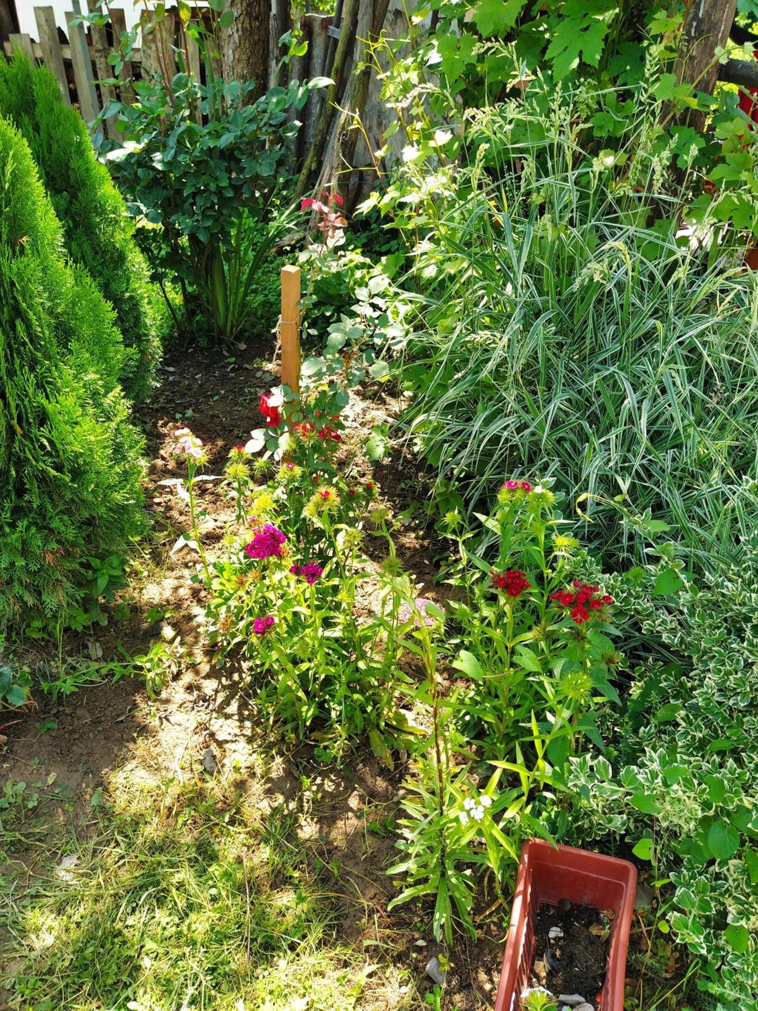 Guest House Bee Visoko Εξωτερικό φωτογραφία
