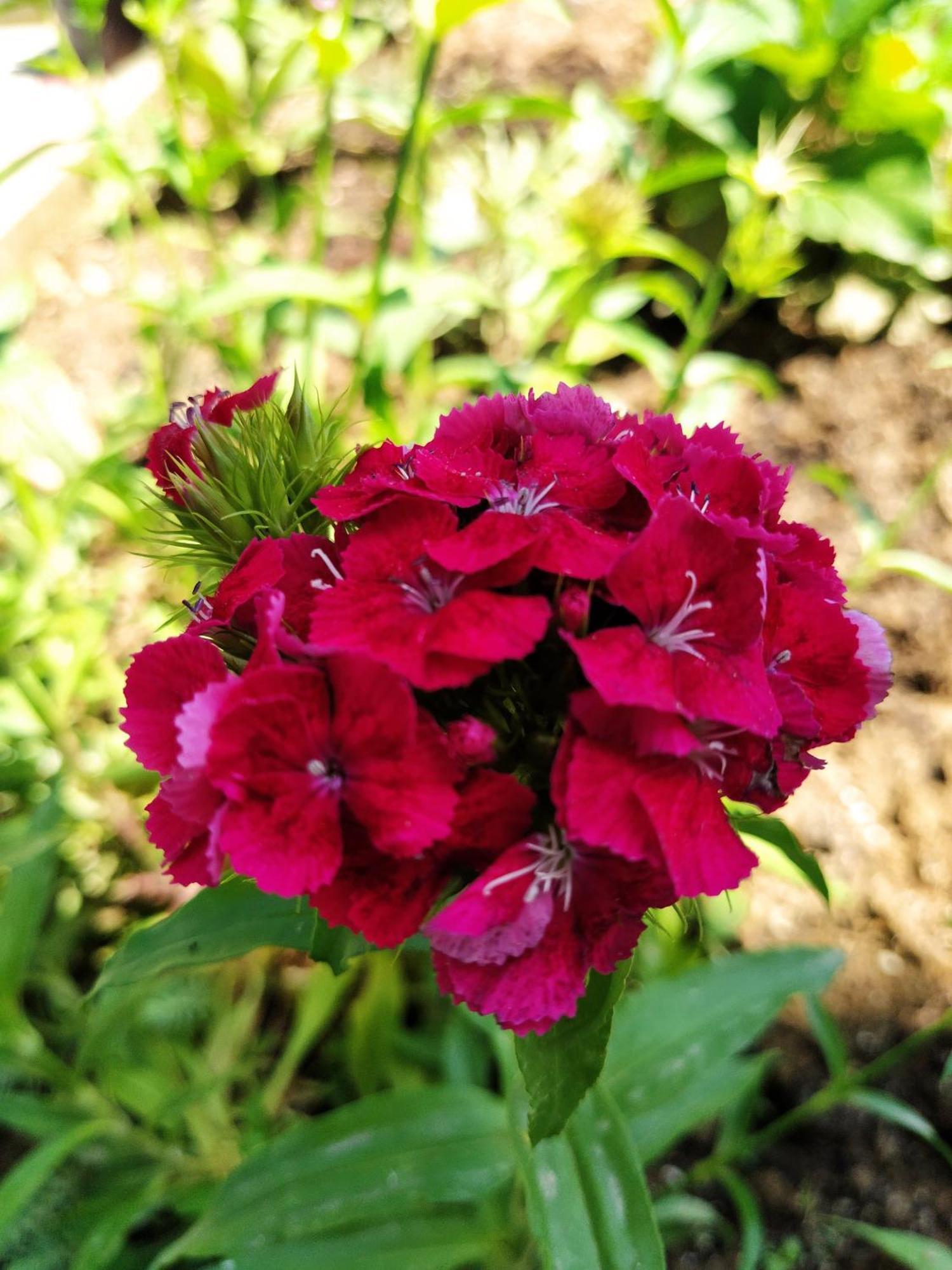 Guest House Bee Visoko Εξωτερικό φωτογραφία