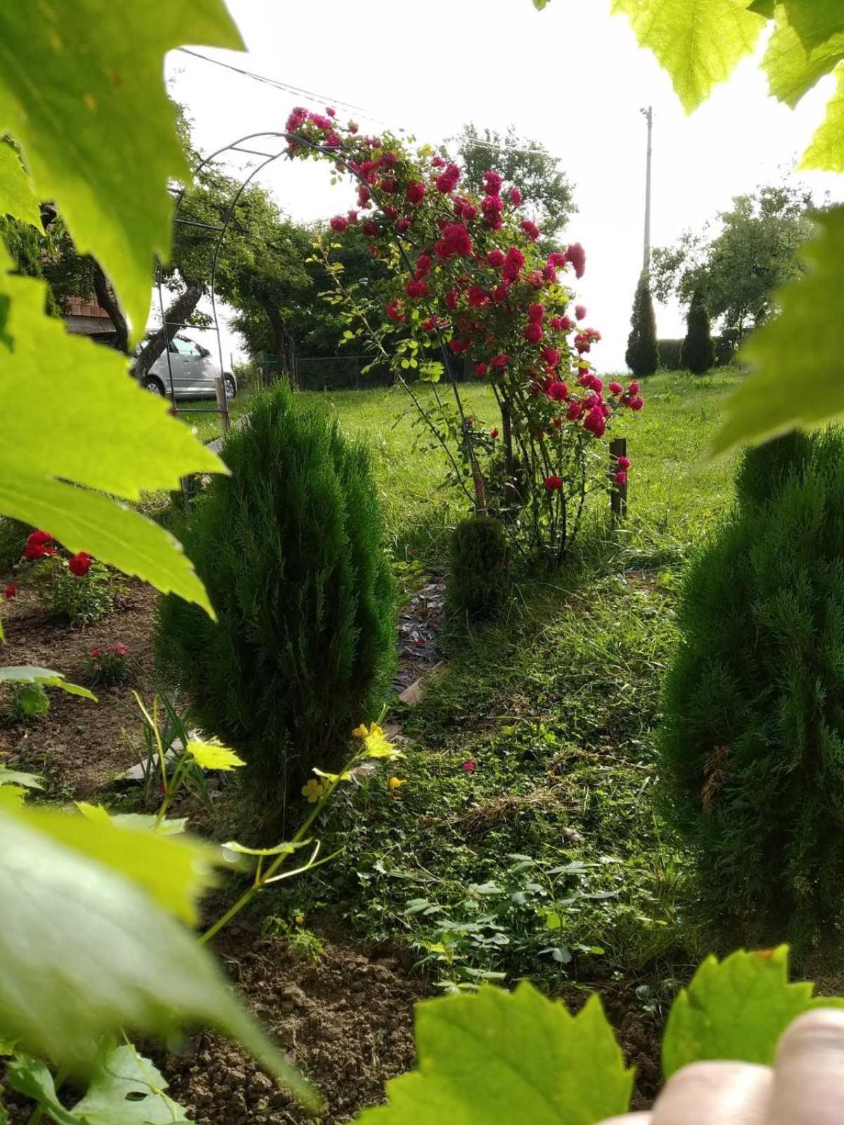 Guest House Bee Visoko Εξωτερικό φωτογραφία