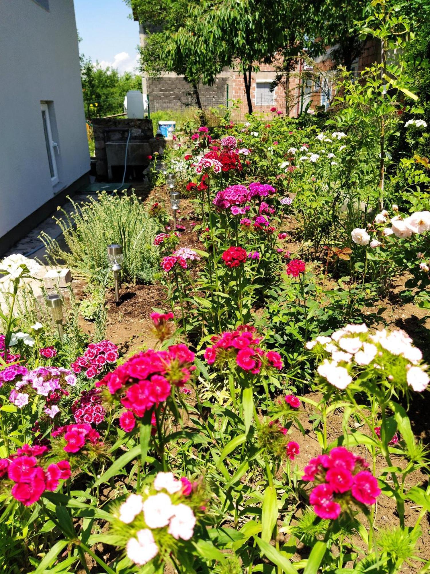 Guest House Bee Visoko Εξωτερικό φωτογραφία